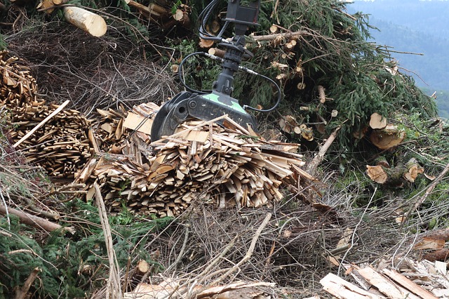 biomass pile